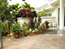 Kew Drive (D16), Semi-Detached #146088912